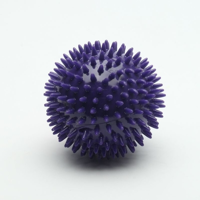 Unique Spiky Durable TPR Dog Toy Squeaky Thrower Plastic Dog Ball